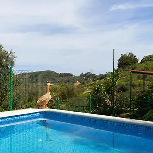 Live Finca El Gamonal Bajo Santa Brígida
